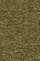 Ковролин AW Devotion 23 фото 1 | FLOORDEALER